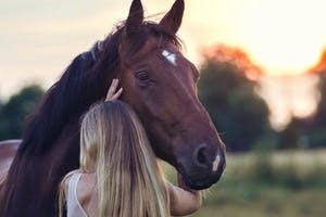 R+V: Operationskostenversicherung für Pferde weiter optimiert