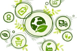 Studie: KMU wollen mehr Unterstützung bei Nachhaltigkeit 