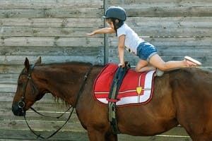 Pferdeversicherung: R+V erweitert OP-Kostendeckung