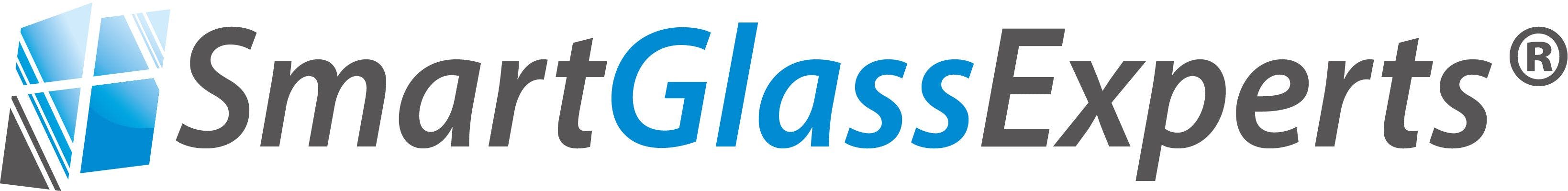SmartGlassGroup Teaser Logo