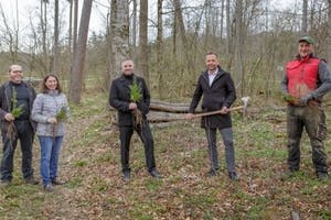 Merkur Versicherung und Waldverband Österreich pflanzen Bäume