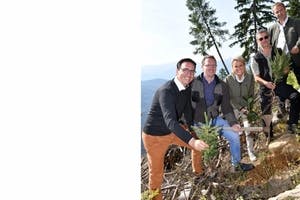 Helvetia: 25.000 Jungbäume für Kärnten