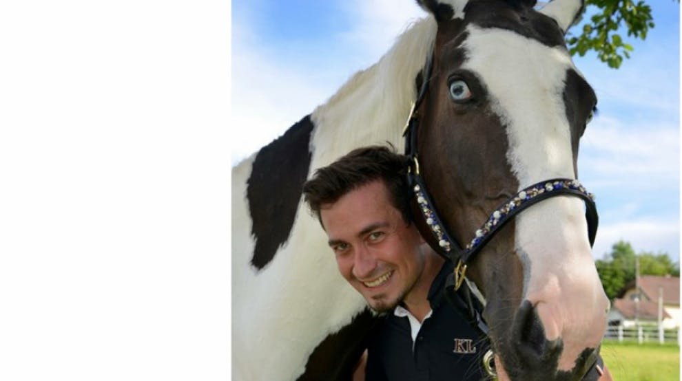 Kärntner versichert Pferde online via App